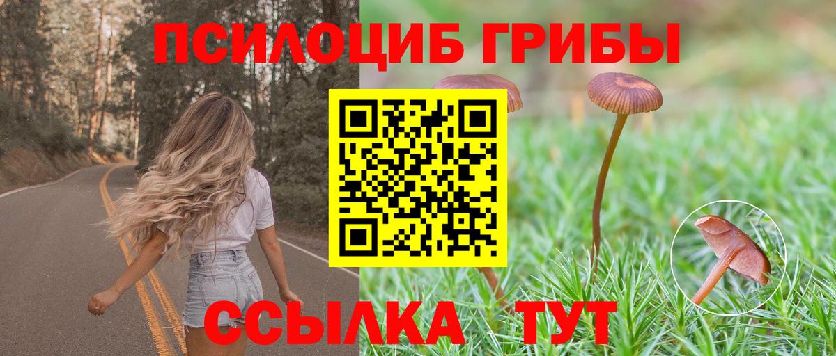 Псилоцибиновые грибы мухоморы  Вход с VPN  Ленинск-Кузнецкий  Псилоцибиновые грибы MAGIC MUSHROOMS 