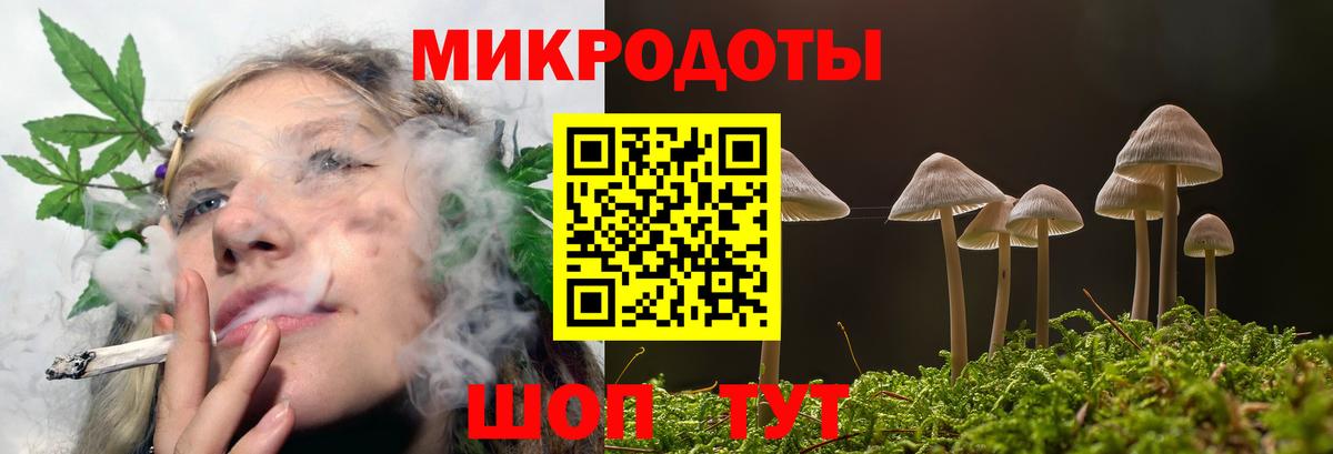 Галлюциногенные грибы GOLDEN TEACHER Ленинск-Кузнецкий